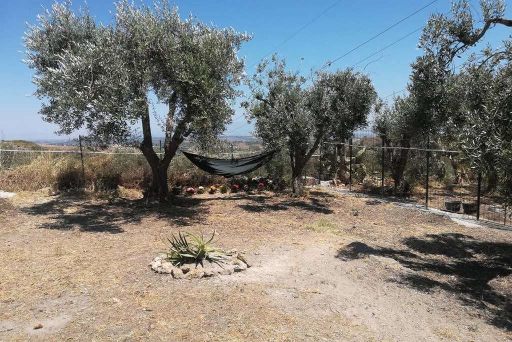Villa Emma Con Panorama Etna A 10 Minuti Dal Mare Lentini Luaran gambar